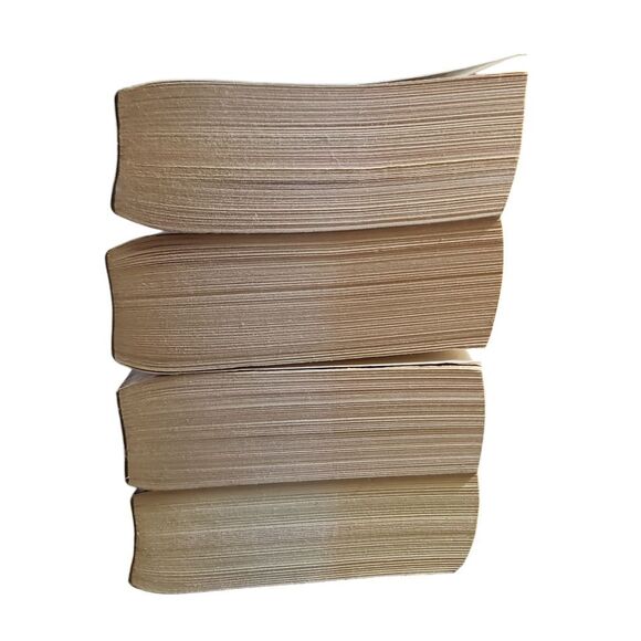 Jane Lindskold Fantasy Book Collection - Wolf Series Books 1-4 Paperback Novels - Picture 4 of 6